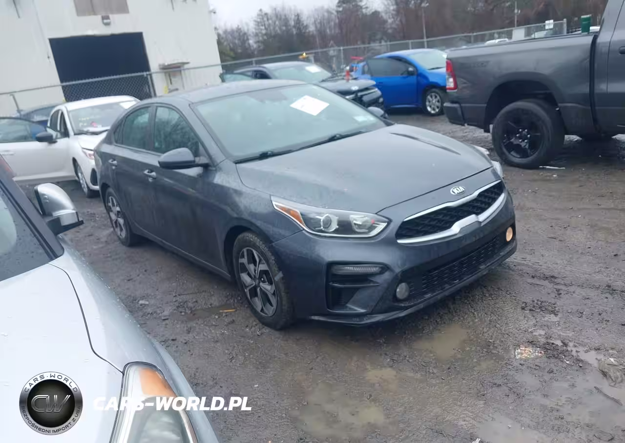 2019 Kia Forte Lxs