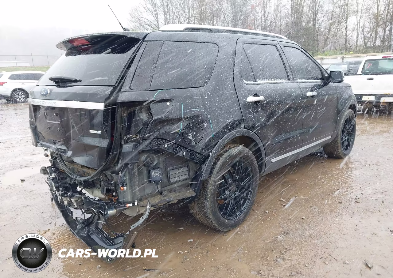 2019 Ford Explorer Platinum VIN:1FM5K8HT1KGA27064 - 4