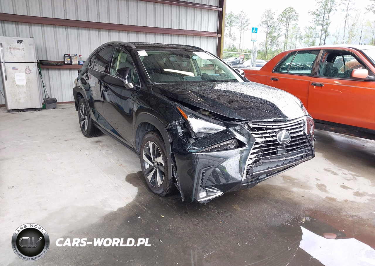 2021 Lexus Nx 300