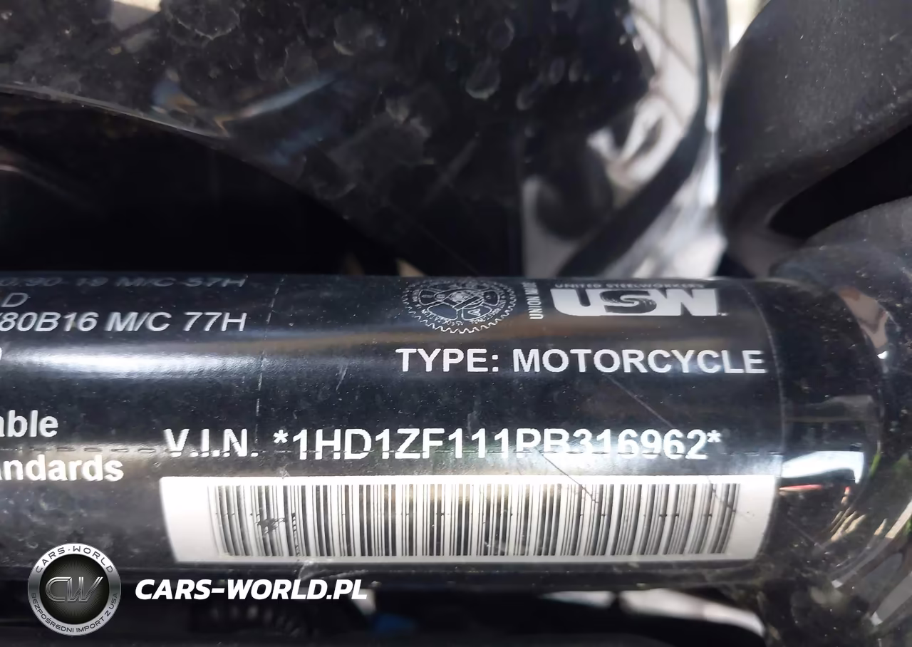 2023 Harley-Davidson Rh975 S VIN:1HD1ZF111PB316962 - 10