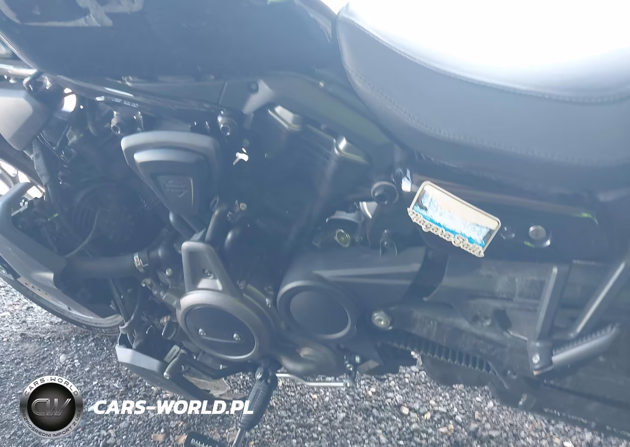 2023 Harley-Davidson Rh975 S VIN:1HD1ZF111PB316962 - 9
