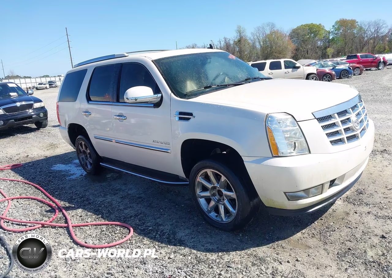 2011 Cadillac Escalade Standard