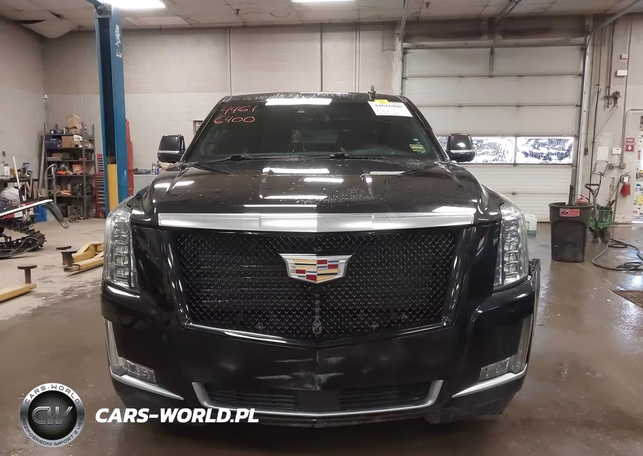 2020 Cadillac Escalade Esv 4Wd Platinum VIN:1GYS4KKJXLR121739 - 13
