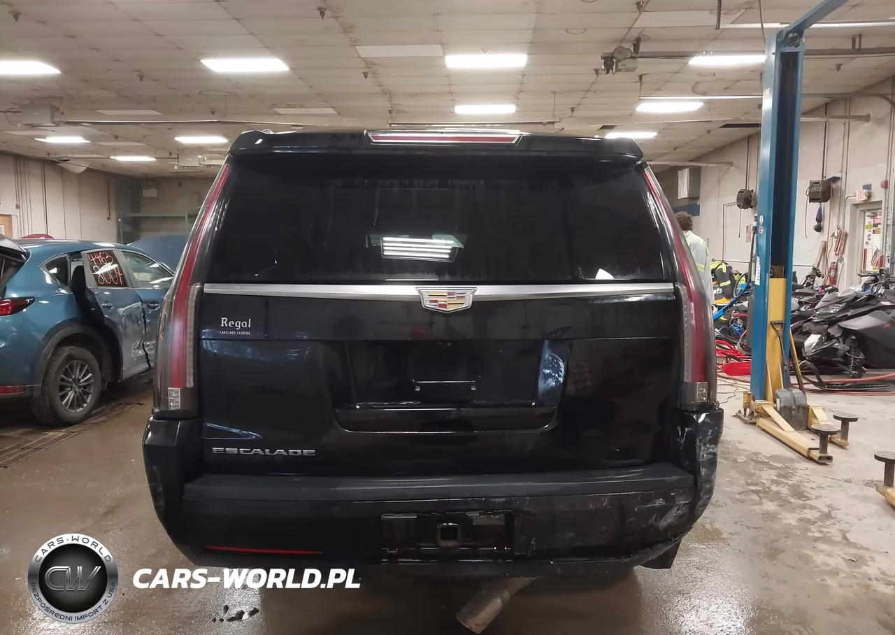 2020 Cadillac Escalade Esv 4Wd Platinum VIN:1GYS4KKJXLR121739 - 17