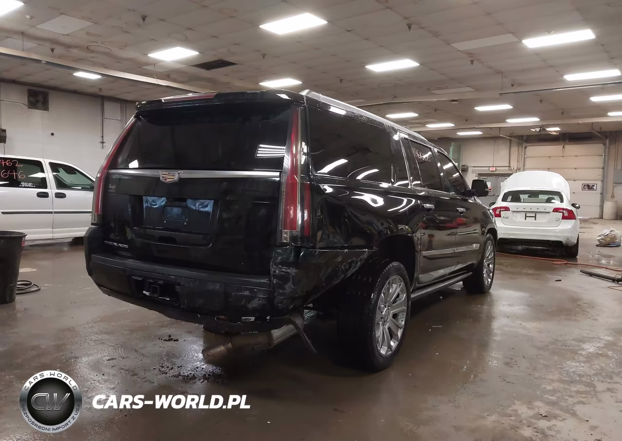 2020 Cadillac Escalade Esv 4Wd Platinum VIN:1GYS4KKJXLR121739 - 4