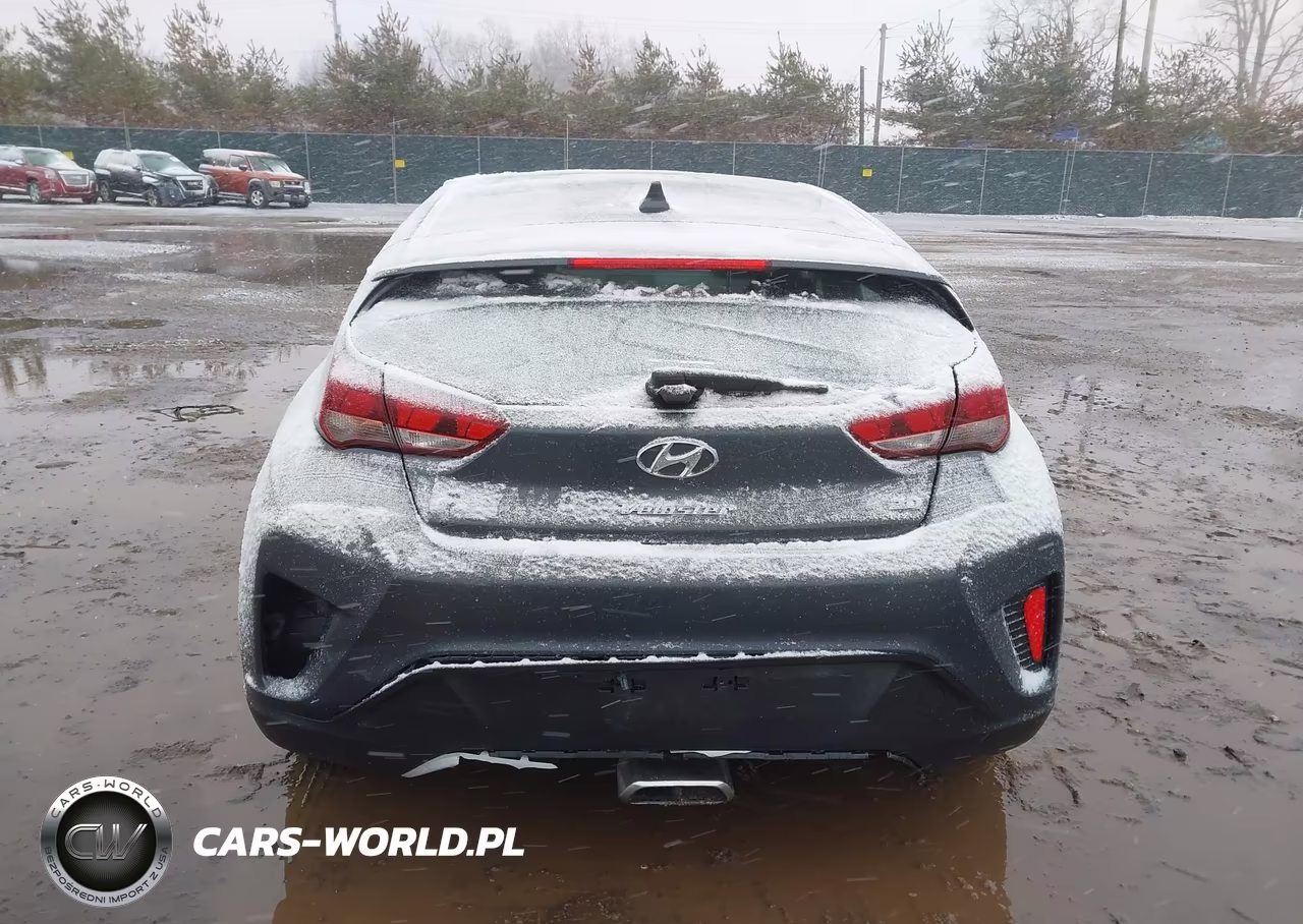 2019 Hyundai Veloster 2.0 VIN:KMHTG6AF4KU017941 - 17