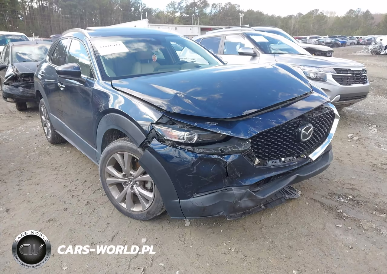 2021 Mazda Cx-30 Premium