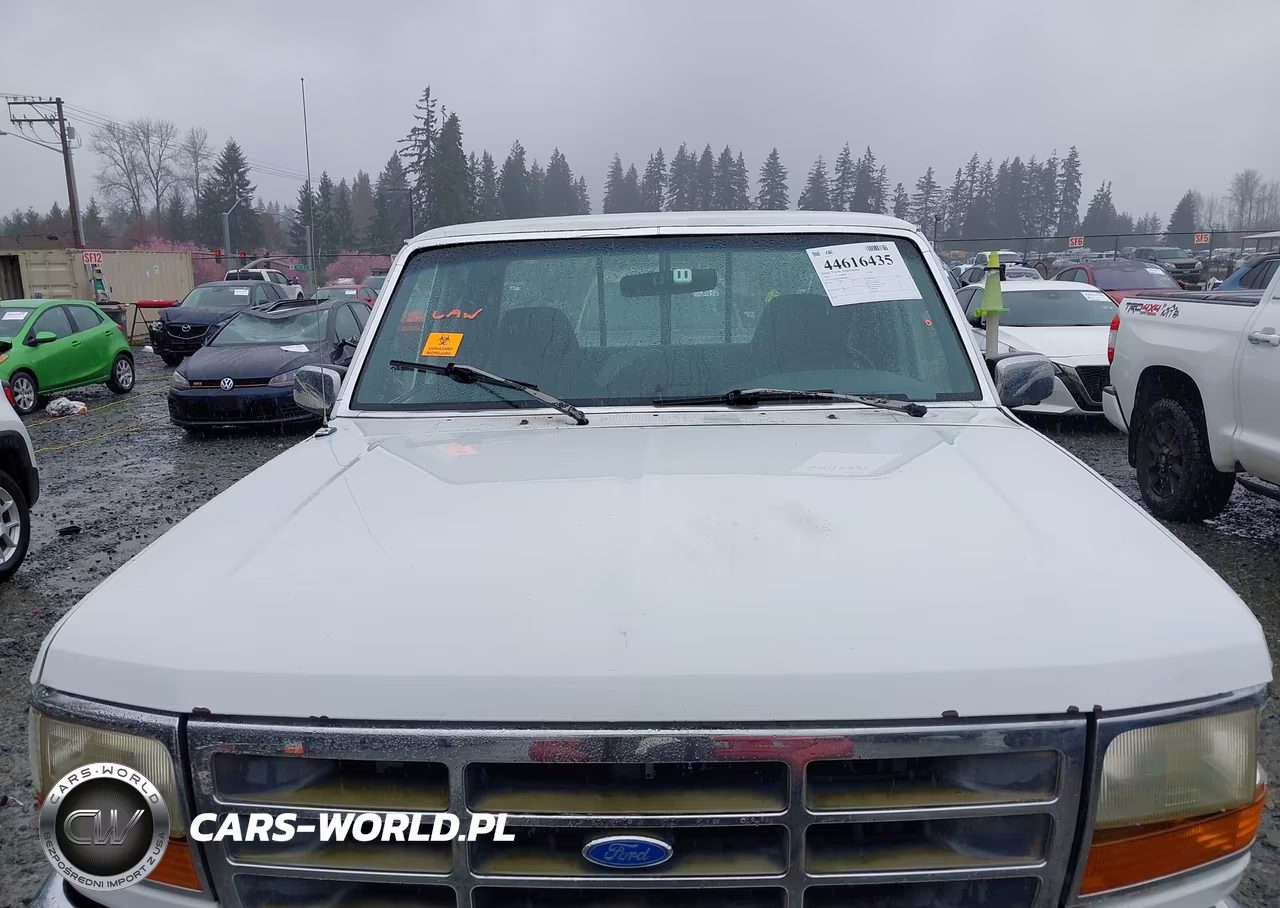 1994 Ford F150 VIN:1FTEX14H9RKB64016 - 10