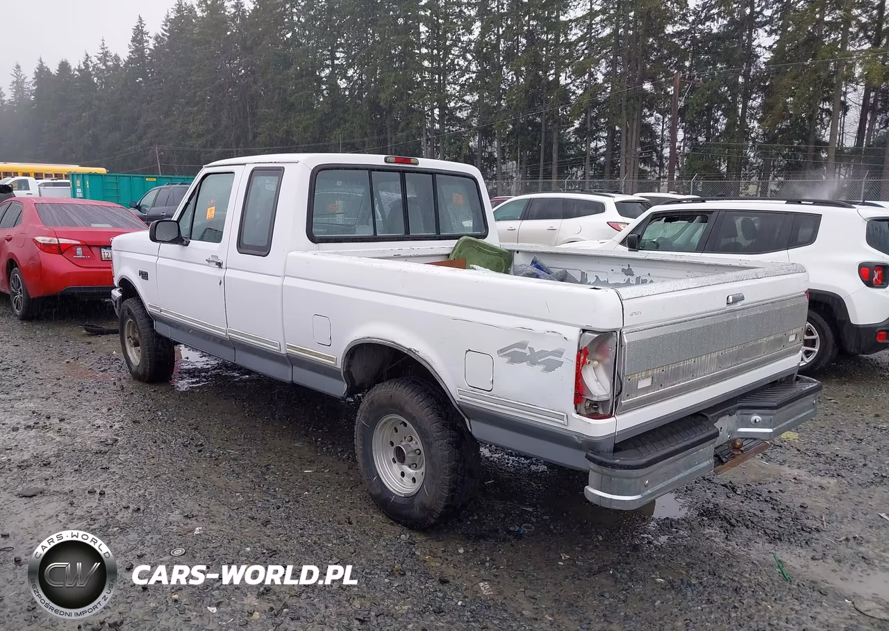 1994 Ford F150 VIN:1FTEX14H9RKB64016 - 3