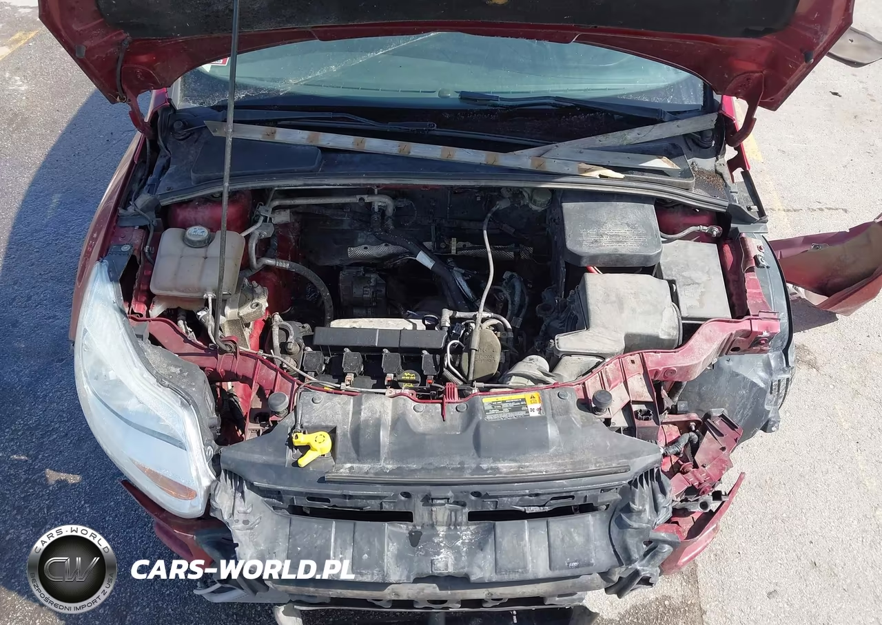 2013 Ford Focus Se VIN:1FADP3F24DL204110 - 10