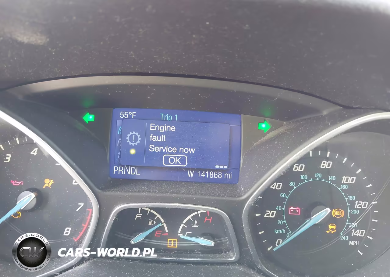 2013 Ford Focus Se VIN:1FADP3F24DL204110 - 16