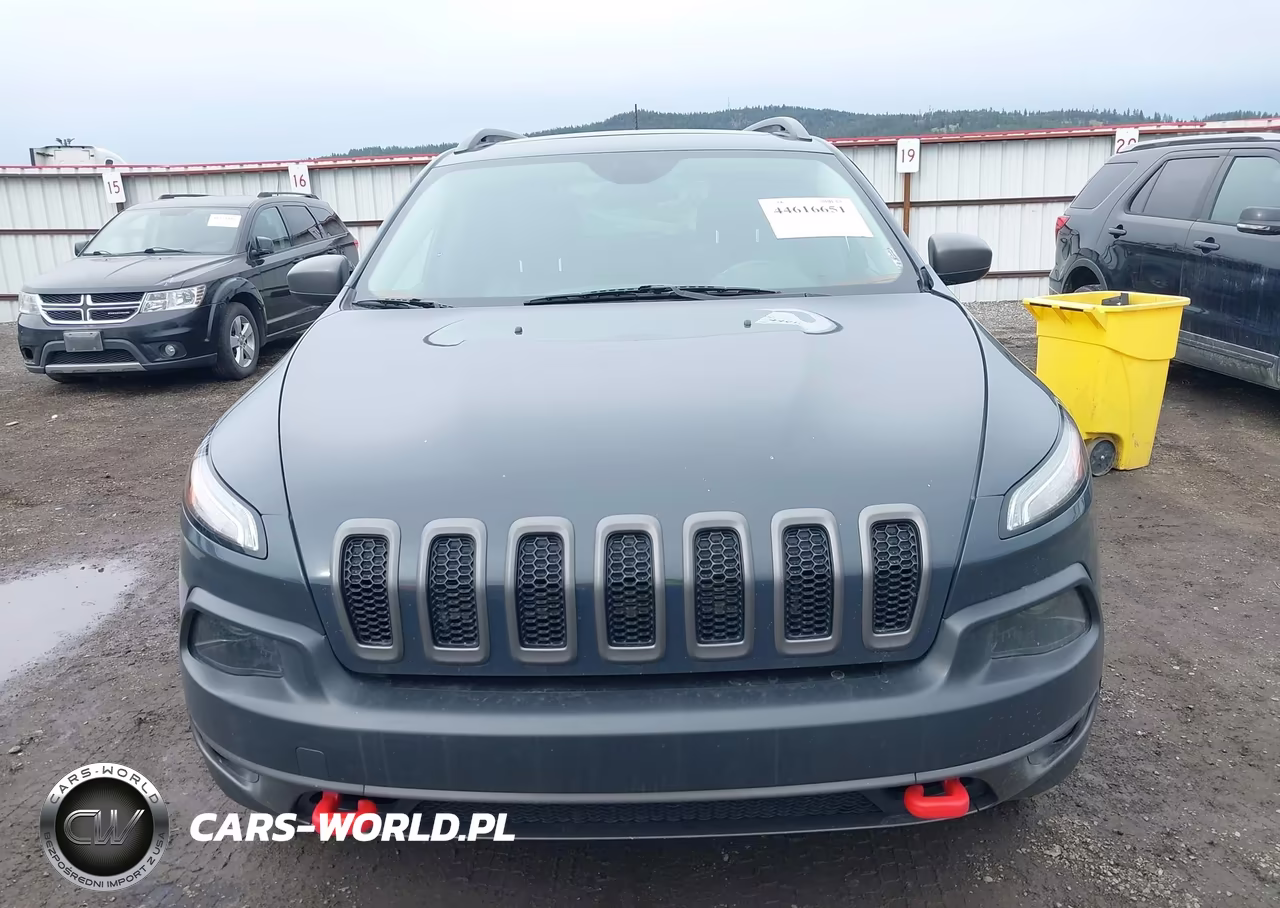 2016 Jeep Cherokee Trailhawk VIN:1C4PJMBS7GW224634 - 12