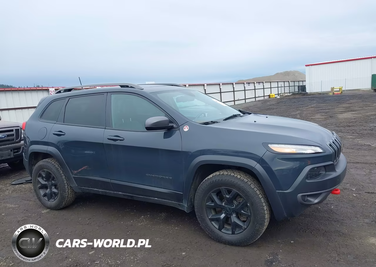 2016 Jeep Cherokee Trailhawk VIN:1C4PJMBS7GW224634 - 13