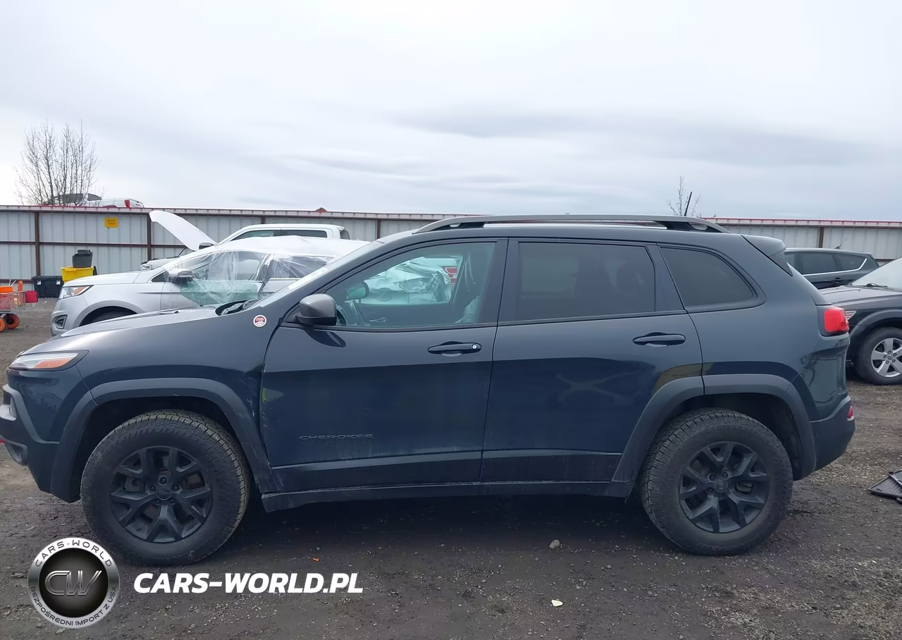2016 Jeep Cherokee Trailhawk VIN:1C4PJMBS7GW224634 - 14