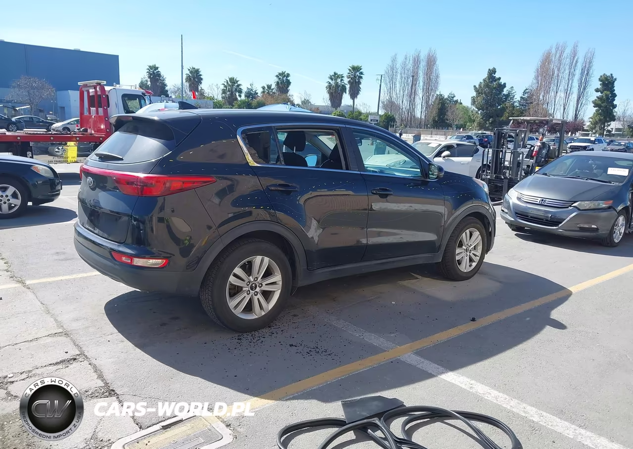 2017 Kia Sportage Lx VIN:KNDPM3AC6H7157113 - 4