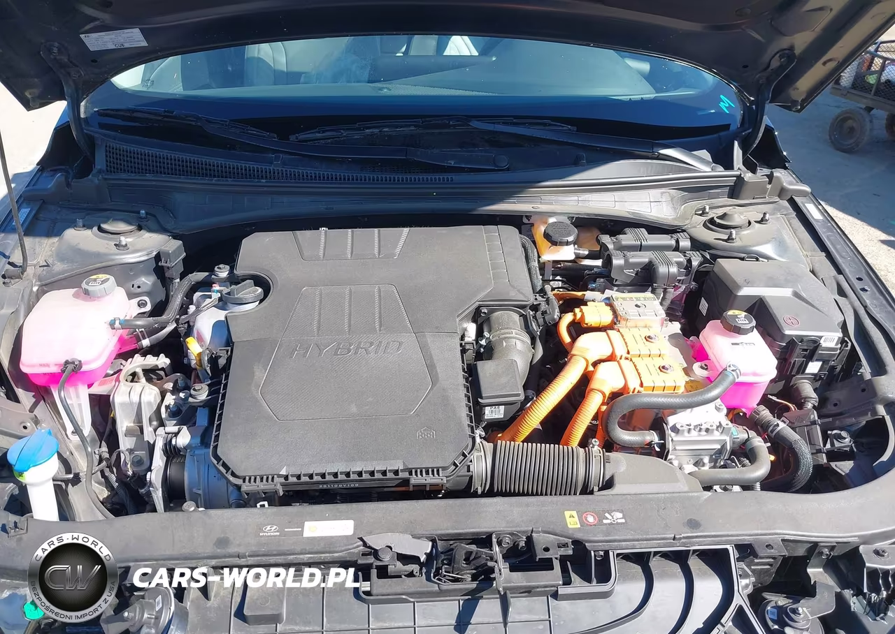 2024 Hyundai Elantra Hybrid Limited VIN:KMHLN4DJ4RU119678 - 10