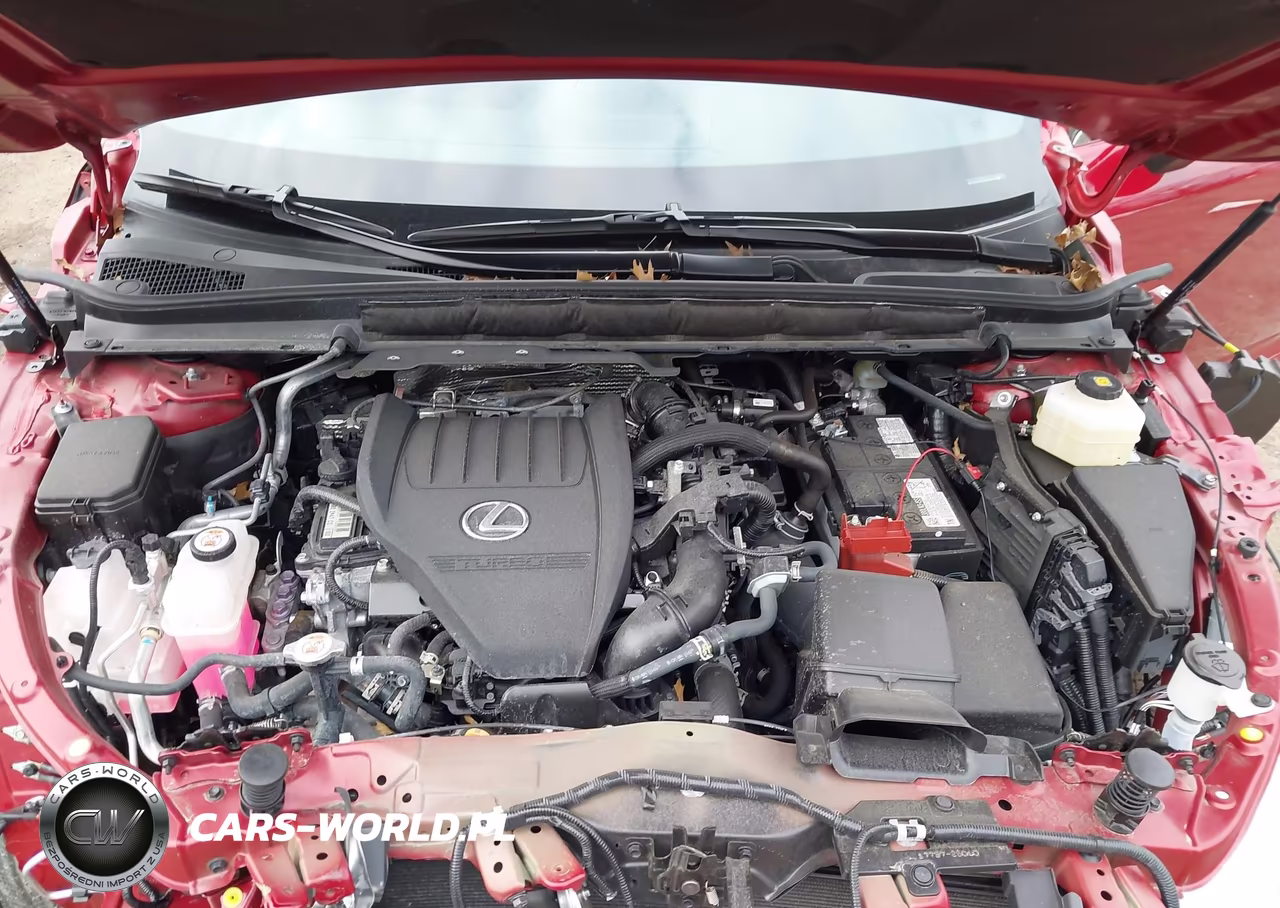 2024 Lexus Rx 350 Premium VIN:2T2BAMCA0RC088581 - 10