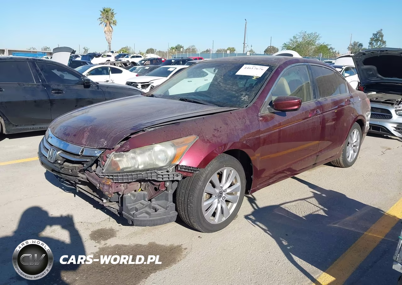 2011 Honda Accord 2.4 Ex-L VIN:1HGCP2F81BA033024 - 2