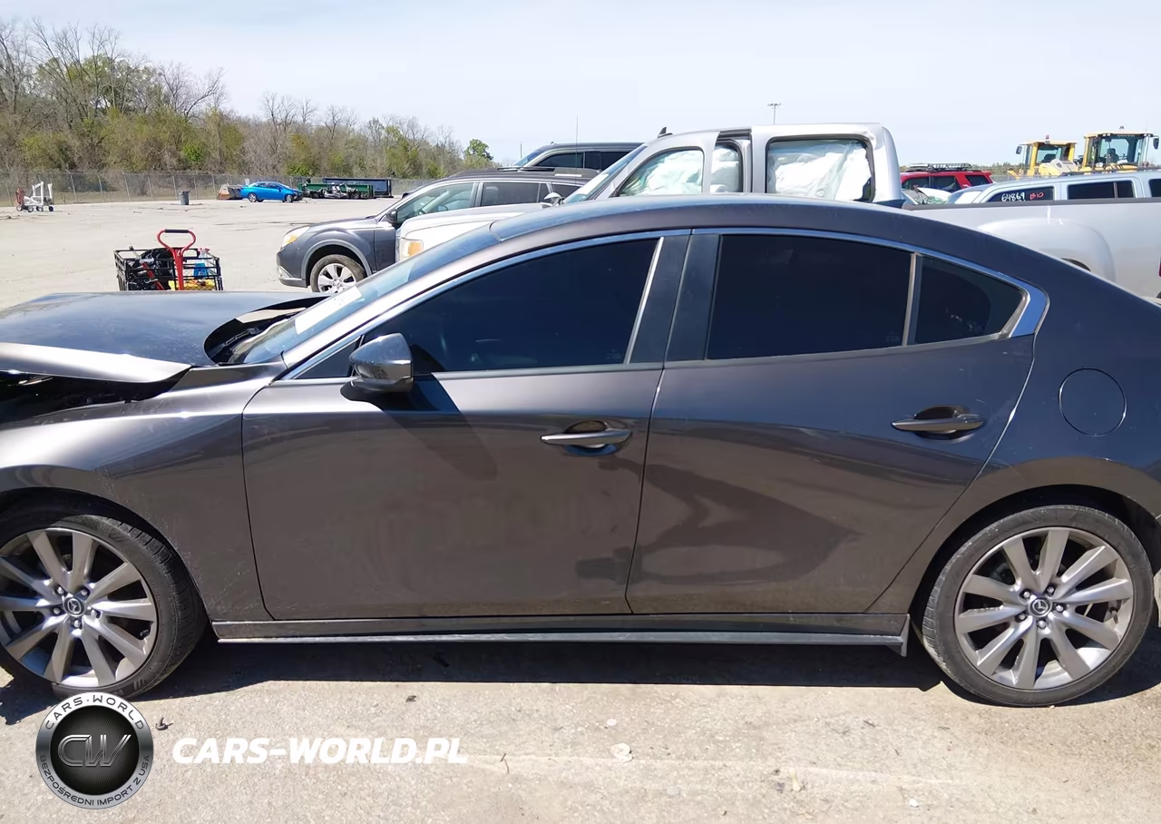 2019 Mazda Mazda3 Preferred Package VIN:3MZBPADLXKM109500 - 13