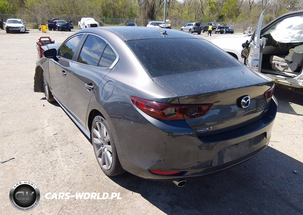 2019 Mazda Mazda3 Preferred Package VIN:3MZBPADLXKM109500 - 3