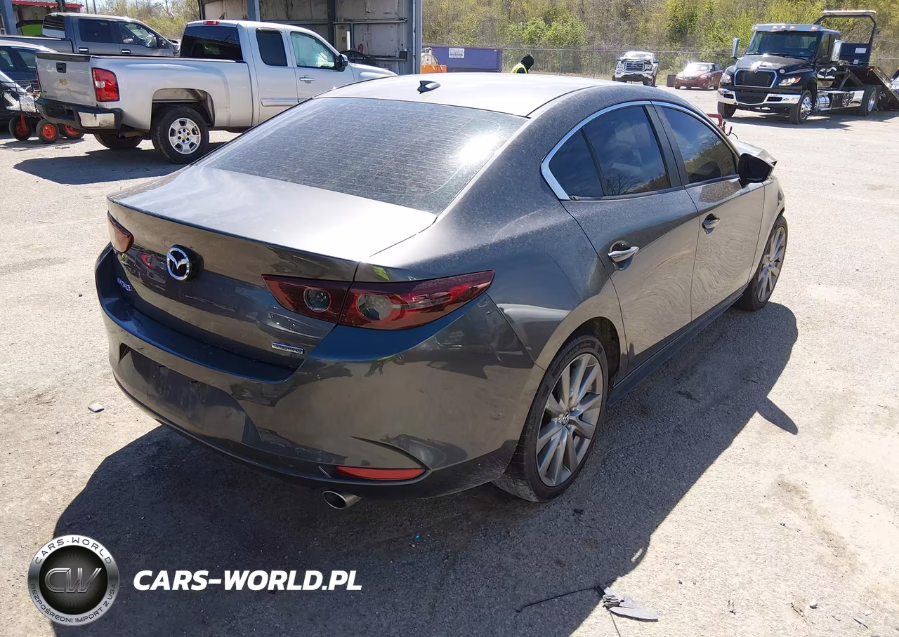 2019 Mazda Mazda3 Preferred Package VIN:3MZBPADLXKM109500 - 4