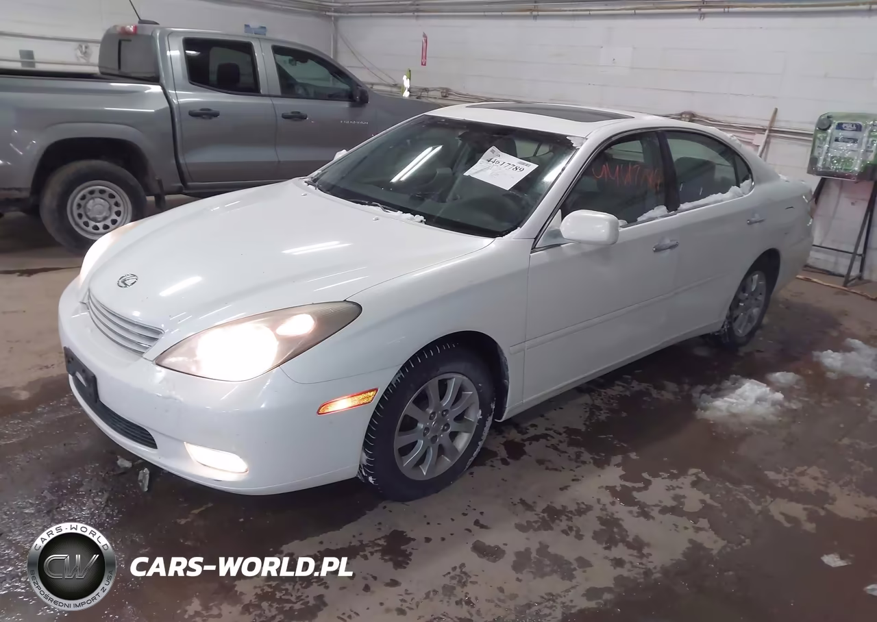 2002 Lexus Es 300 VIN:JTHBF30G020029053 - 2