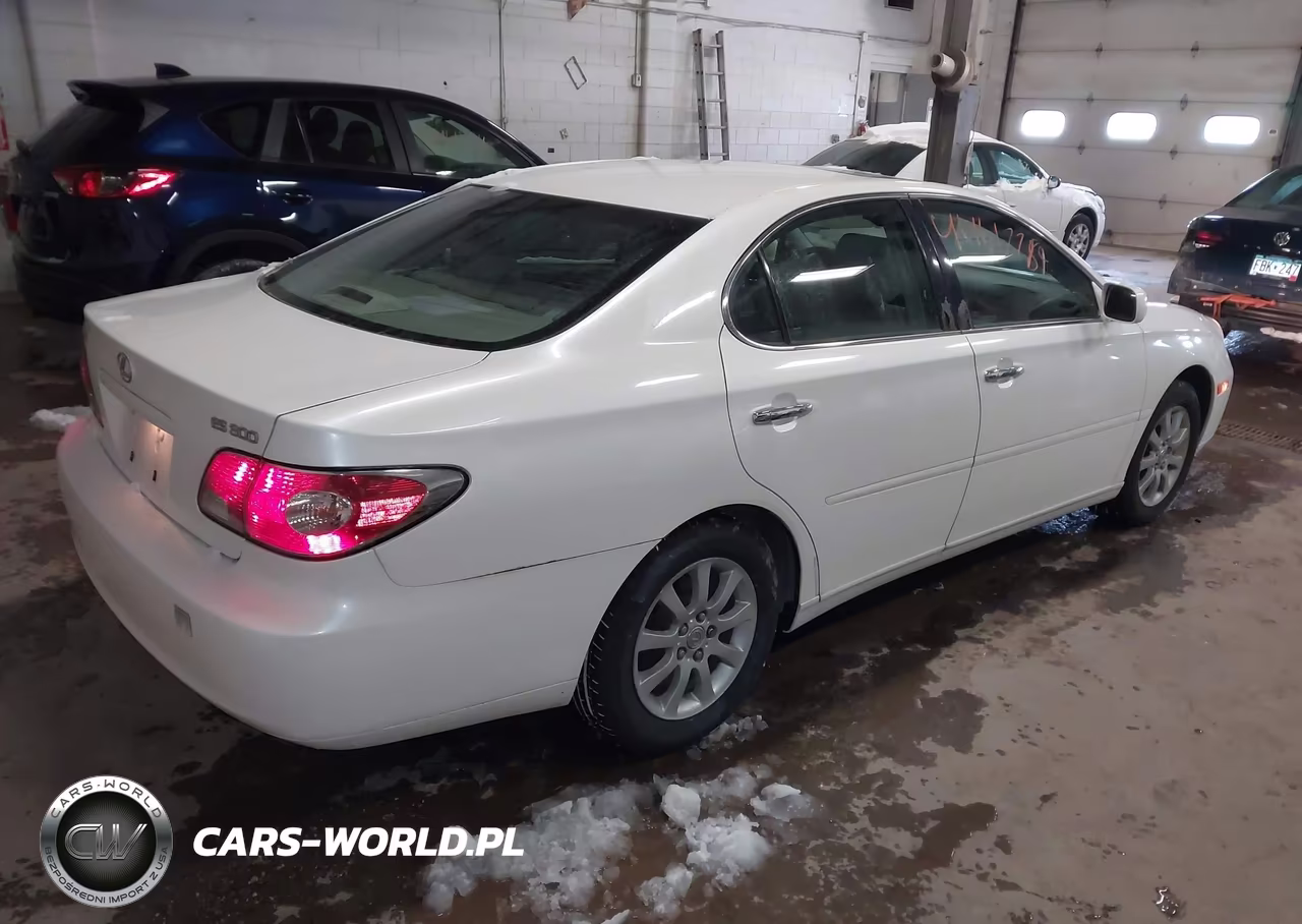 2002 Lexus Es 300 VIN:JTHBF30G020029053 - 4