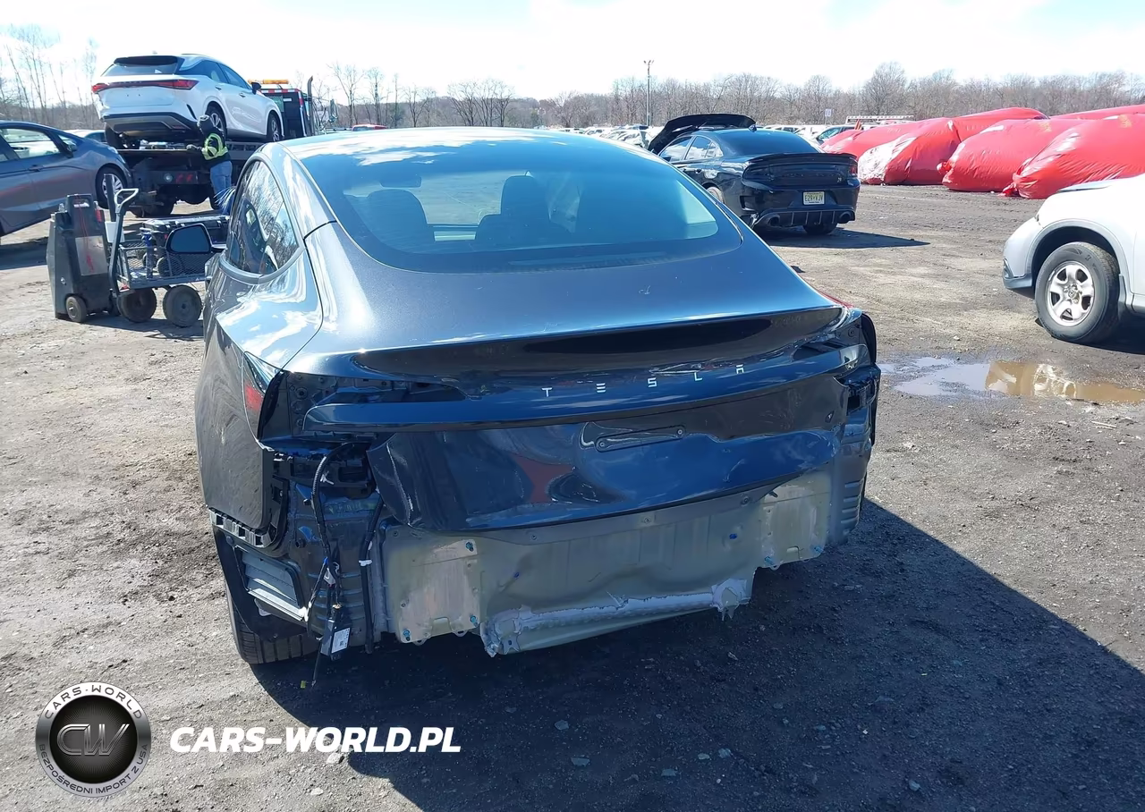 2025 Tesla Model 3 Long Range Rear-Wheel Drive-Standard Rear-Wheel Drive VIN:5YJ3E1EA1SF953388 - 19
