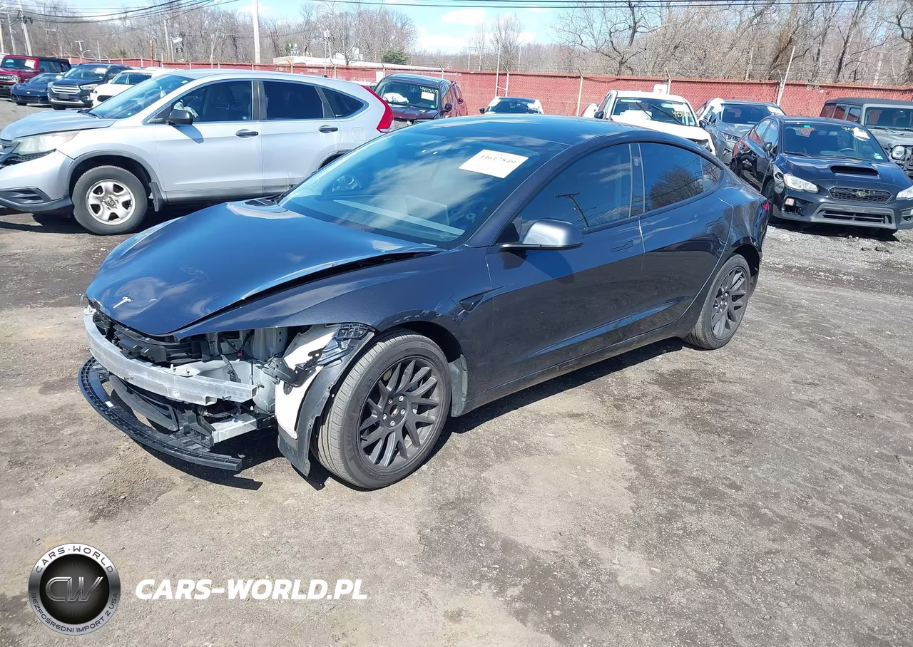 2025 Tesla Model 3 Long Range Rear-Wheel Drive-Standard Rear-Wheel Drive VIN:5YJ3E1EA1SF953388 - 2