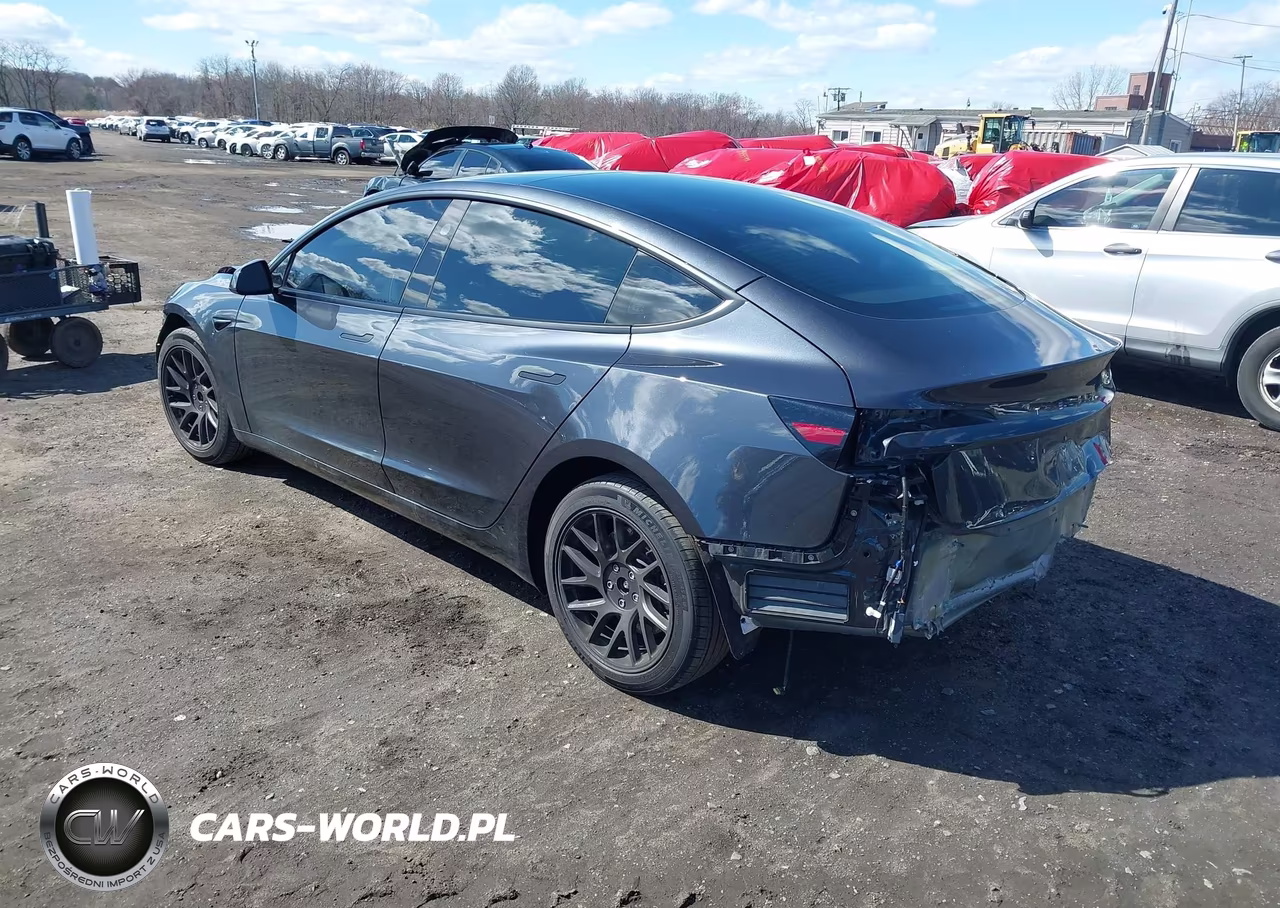 2025 Tesla Model 3 Long Range Rear-Wheel Drive-Standard Rear-Wheel Drive VIN:5YJ3E1EA1SF953388 - 3