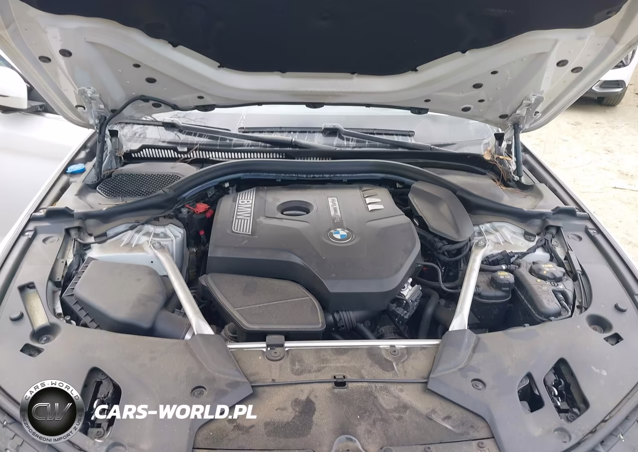 2019 BMW 530I VIN:WBAJA5C54KWW32163 - 10