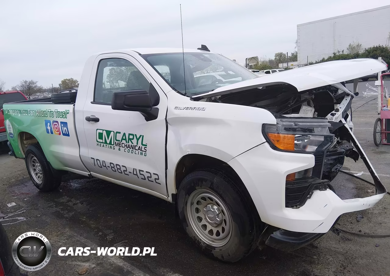 2023 Chevrolet Silverado 1500 2Wd Long Bed Wt VIN:3GCNAAEK5PG143289 - 12