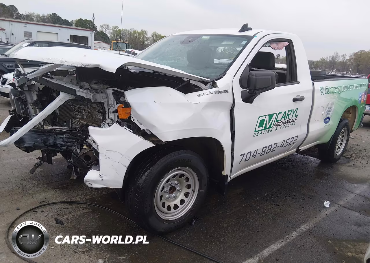 2023 Chevrolet Silverado 1500 2Wd Long Bed Wt VIN:3GCNAAEK5PG143289 - 2