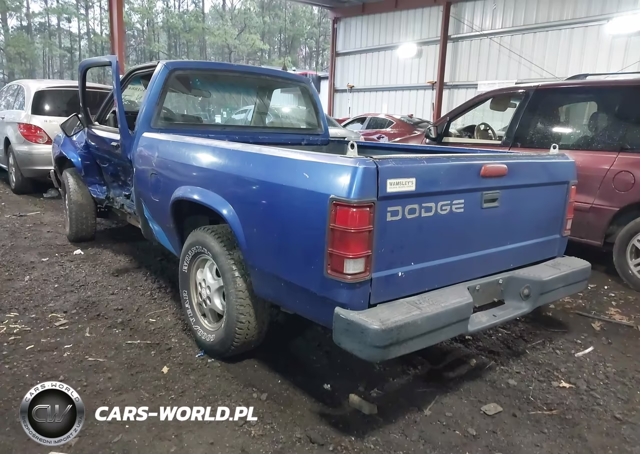 1995 Dodge Dakota VIN:1B7FL26X9SW923529 - 3