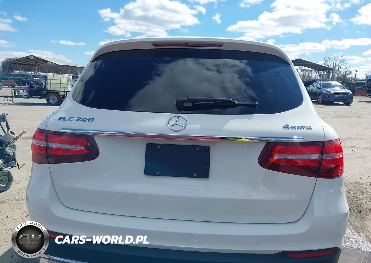 2019 Mercedes-Benz Glc 300 4Matic VIN:WDC0G4KB6K1000173 - 17