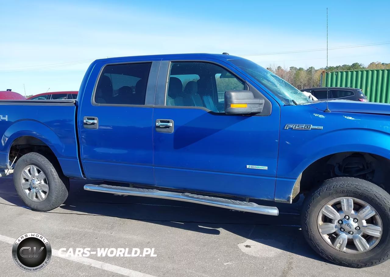 2011 Ford F-150 Xlt VIN:1FTFW1ET1BKD64176 - 13