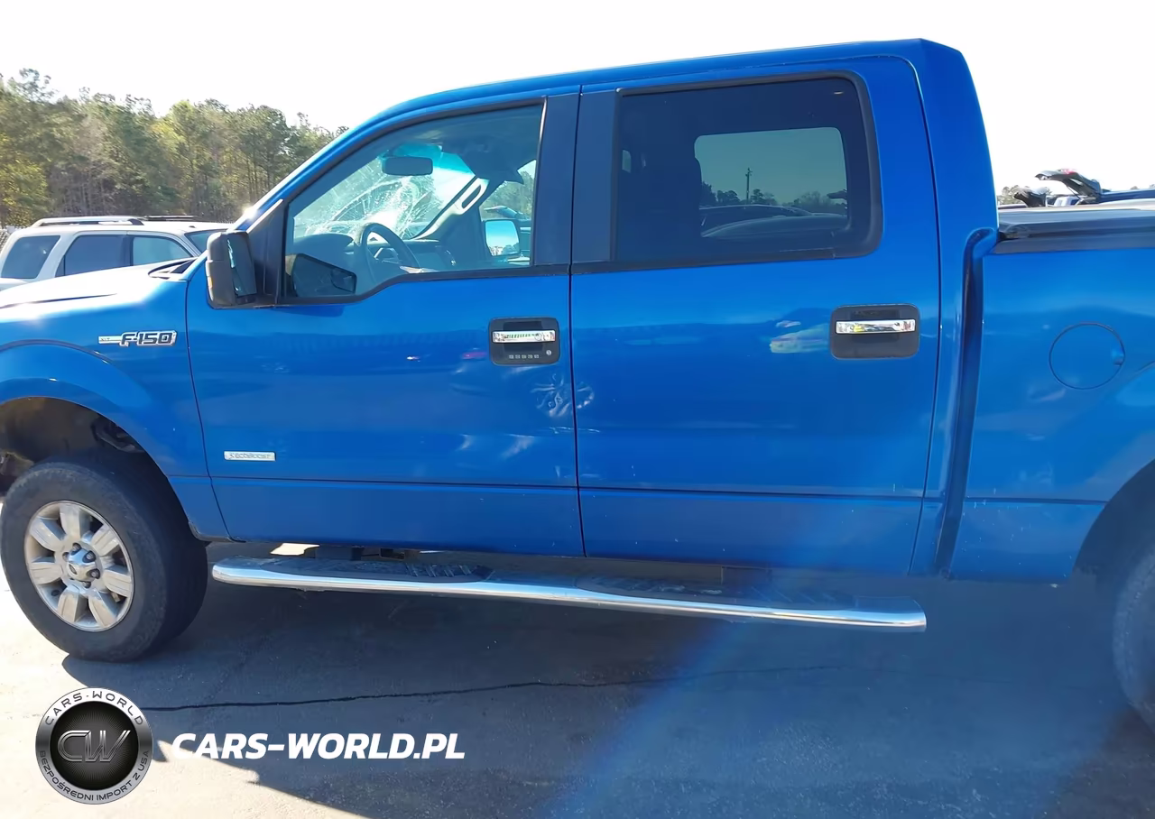 2011 Ford F-150 Xlt VIN:1FTFW1ET1BKD64176 - 14
