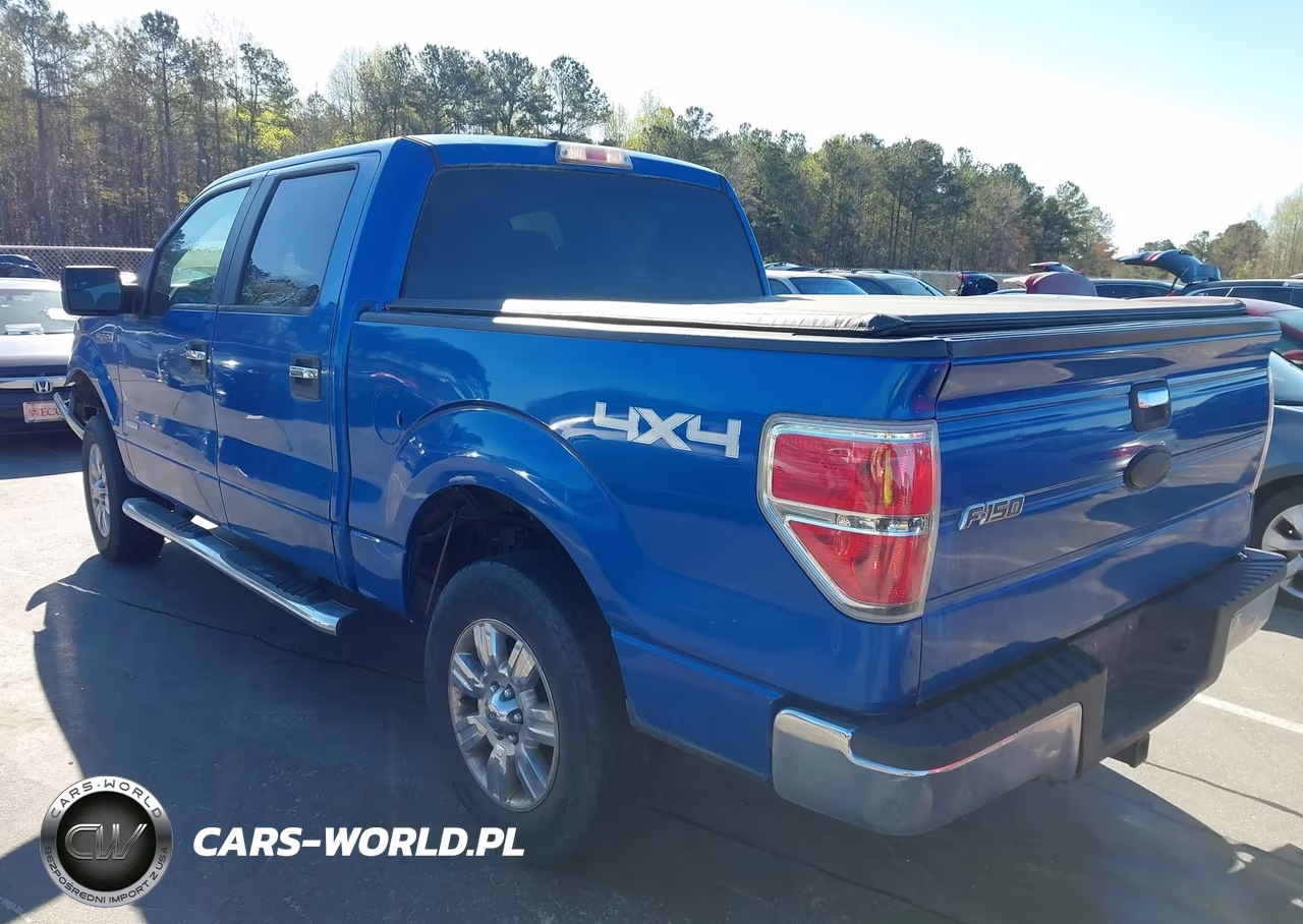 2011 Ford F-150 Xlt VIN:1FTFW1ET1BKD64176 - 3
