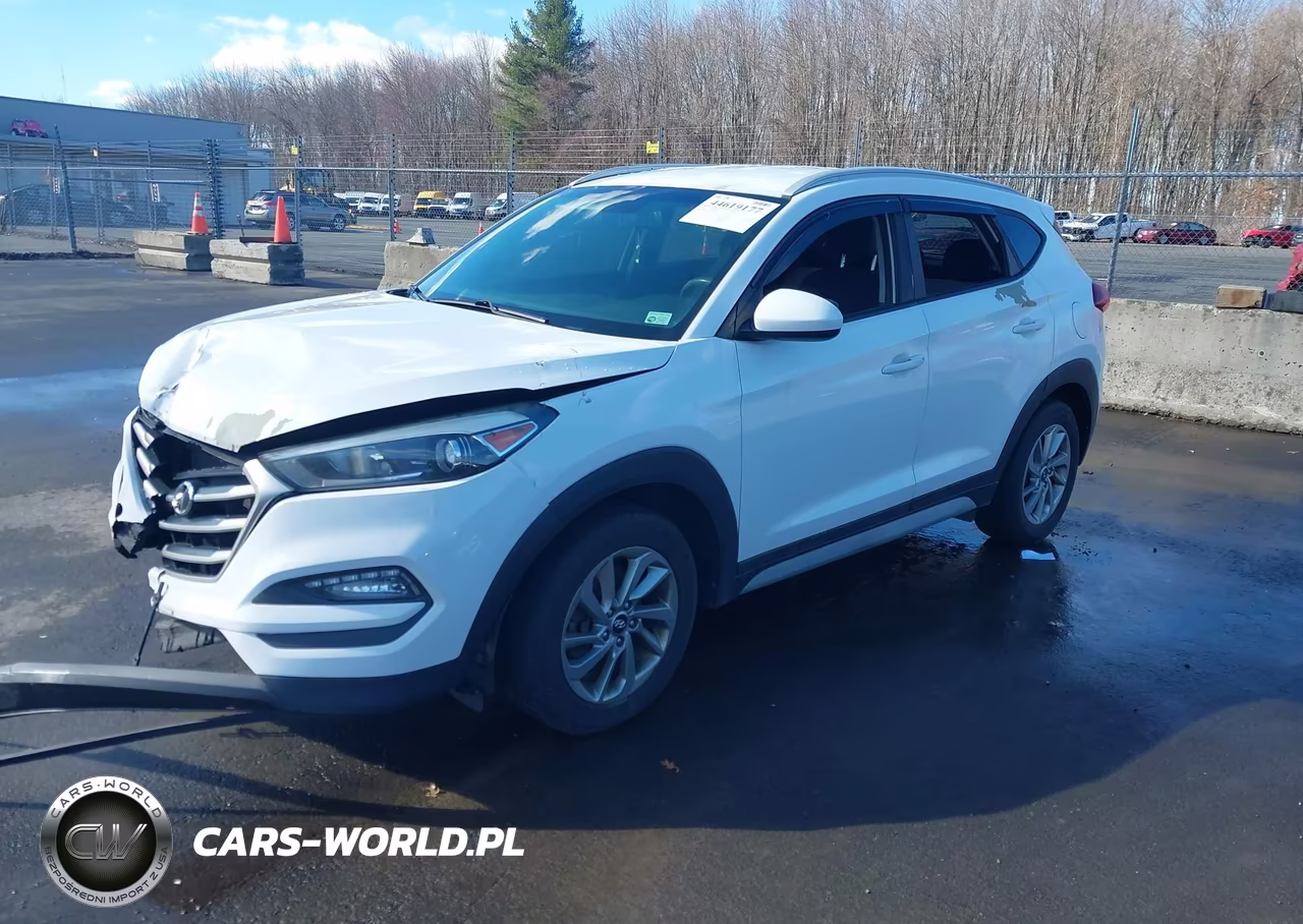 2018 Hyundai Tucson Sel VIN:KM8J3CA46JU749972 - 2