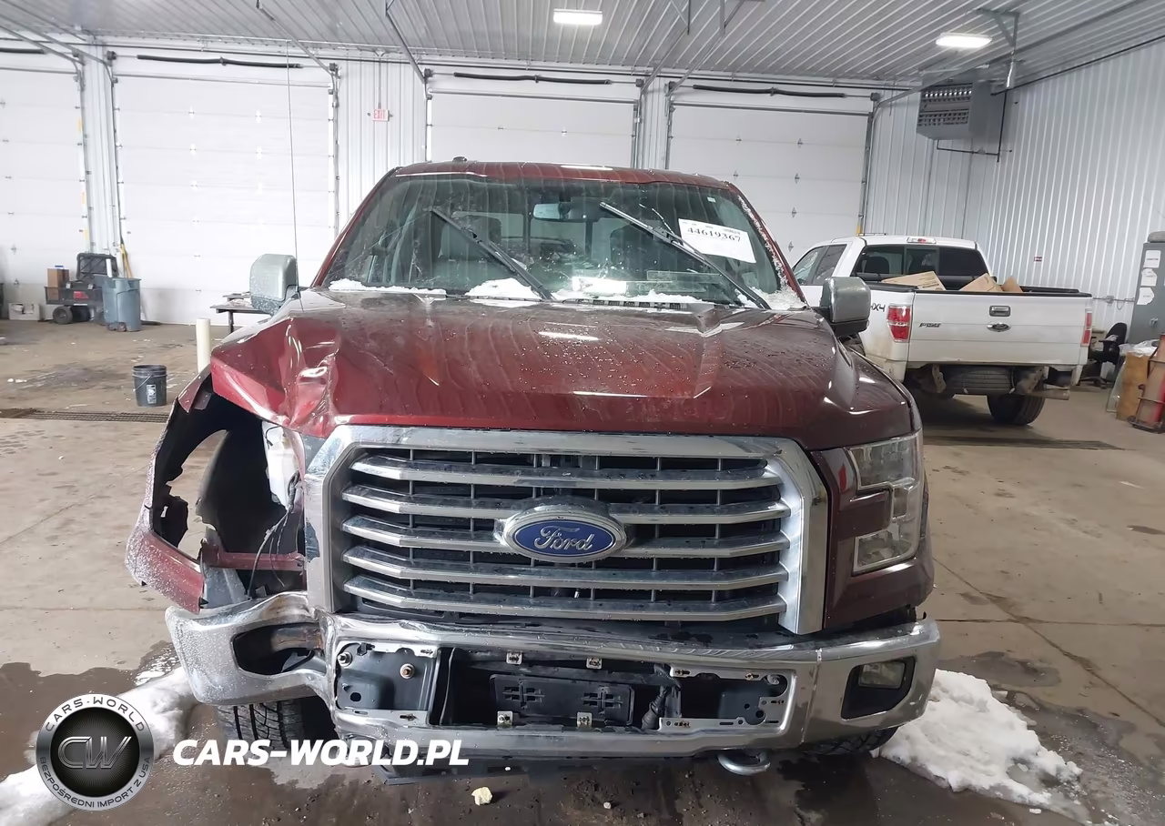 2015 Ford F-150 Xlt VIN:1FTEW1EG3FFD08799 - 12