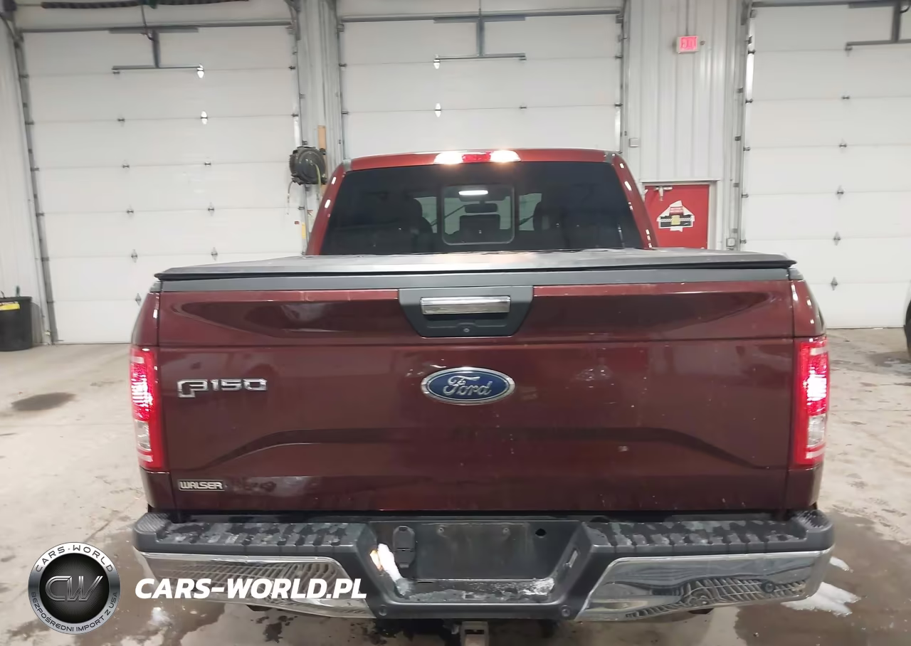2015 Ford F-150 Xlt VIN:1FTEW1EG3FFD08799 - 16