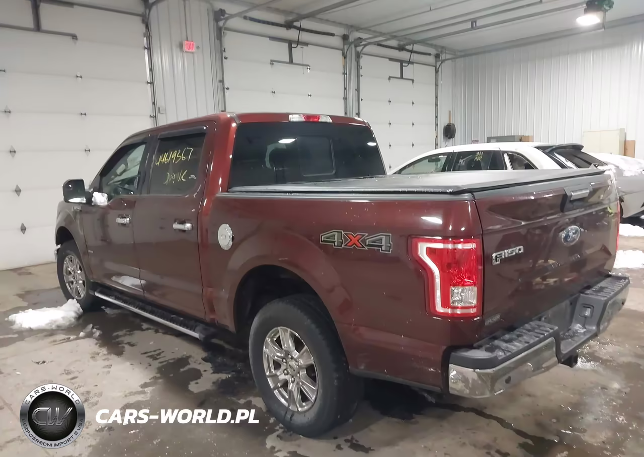 2015 Ford F-150 Xlt VIN:1FTEW1EG3FFD08799 - 3