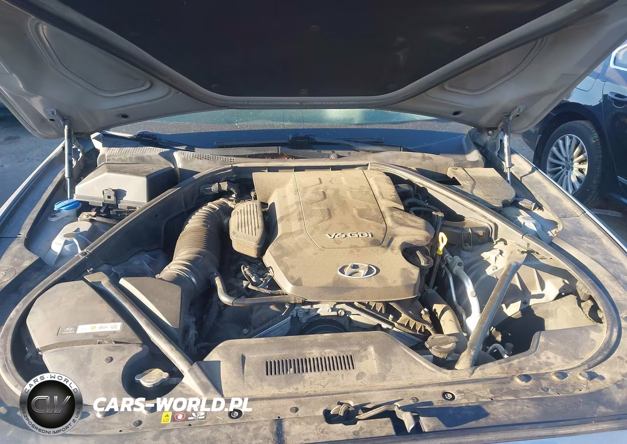 2016 Hyundai Genesis 3.8 VIN:KMHGN4JE2GU106465 - 10