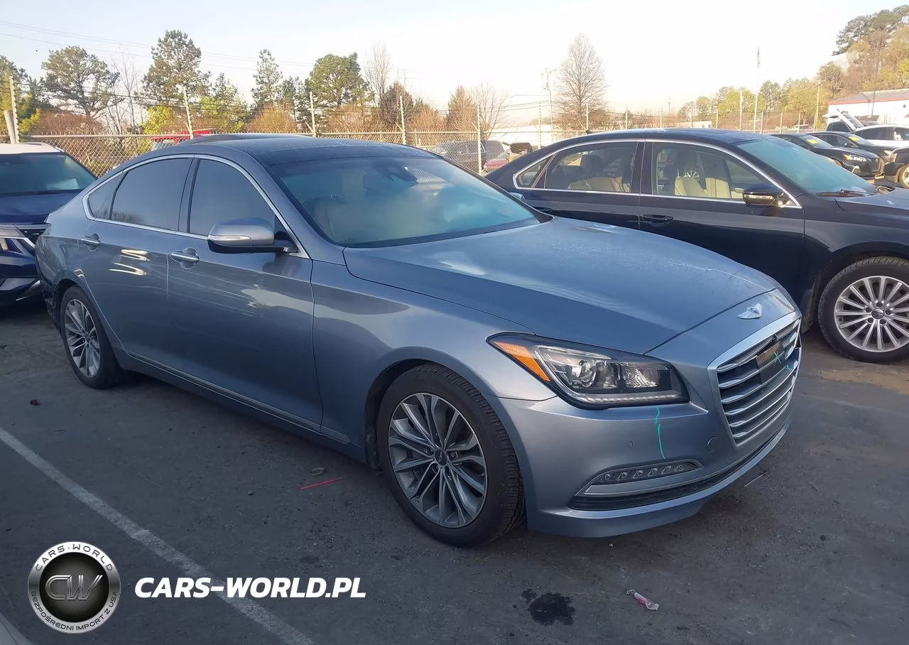2016 Hyundai Genesis 3.8 VIN:KMHGN4JE2GU106465 - 14