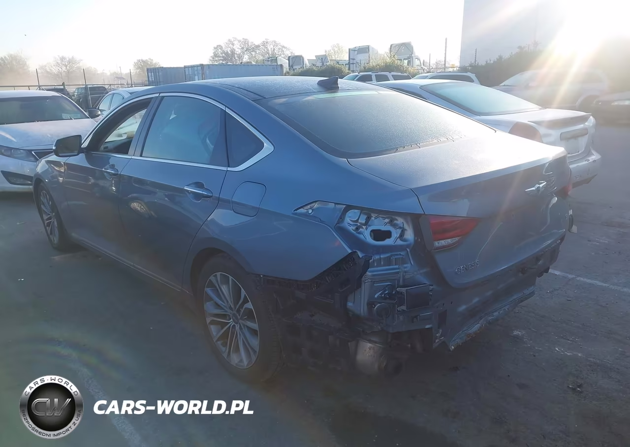 2016 Hyundai Genesis 3.8 VIN:KMHGN4JE2GU106465 - 15