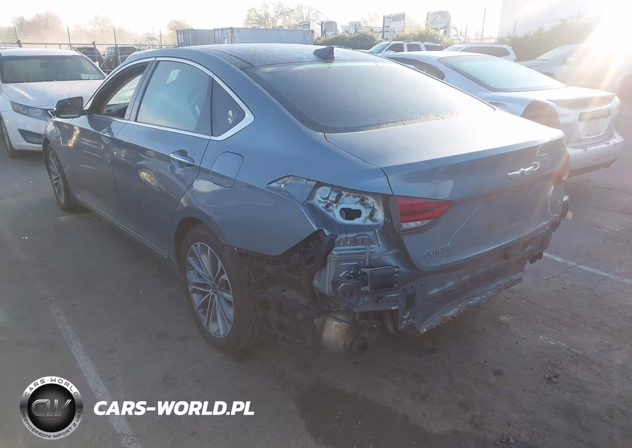 2016 Hyundai Genesis 3.8 VIN:KMHGN4JE2GU106465 - 3