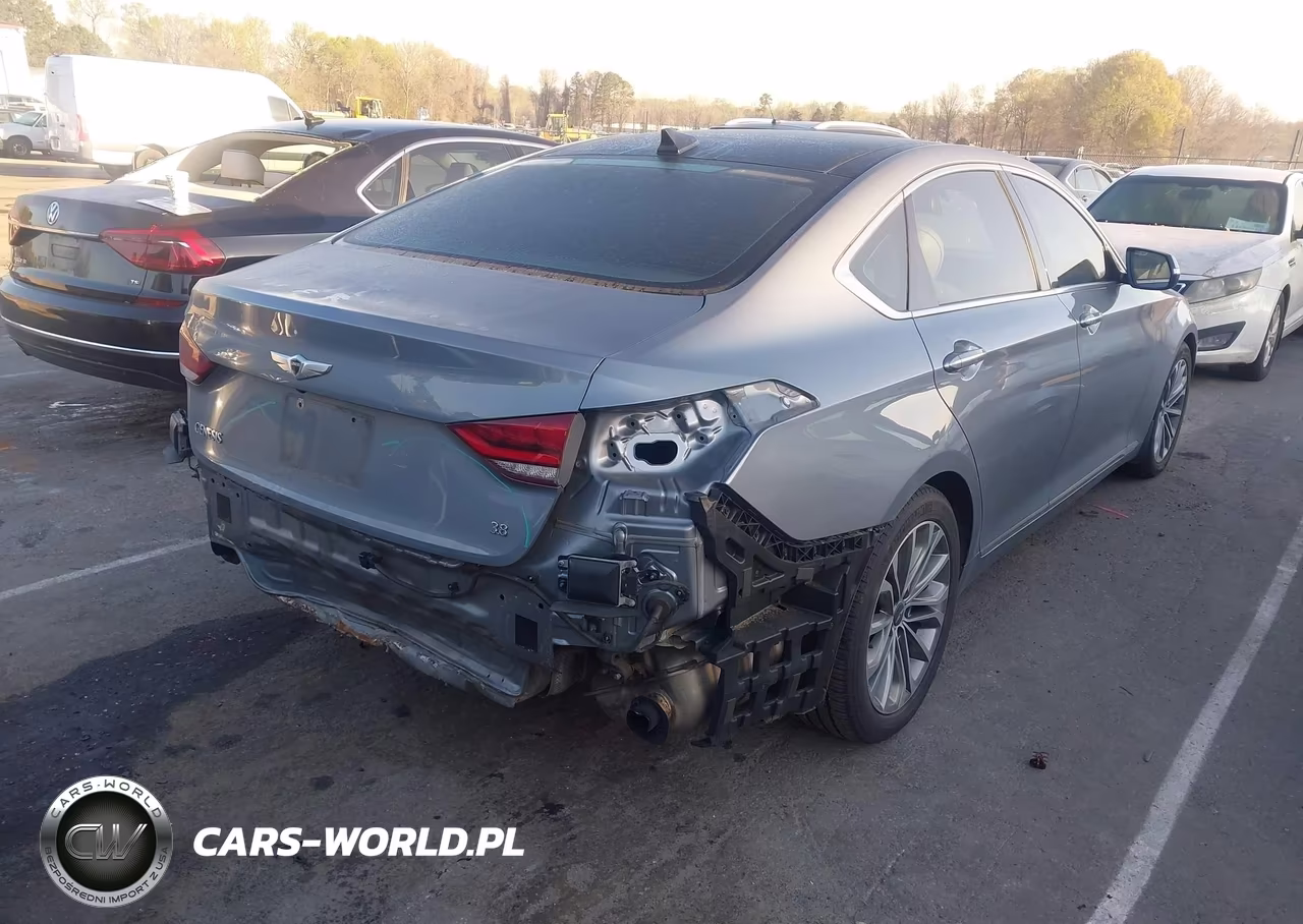 2016 Hyundai Genesis 3.8 VIN:KMHGN4JE2GU106465 - 4