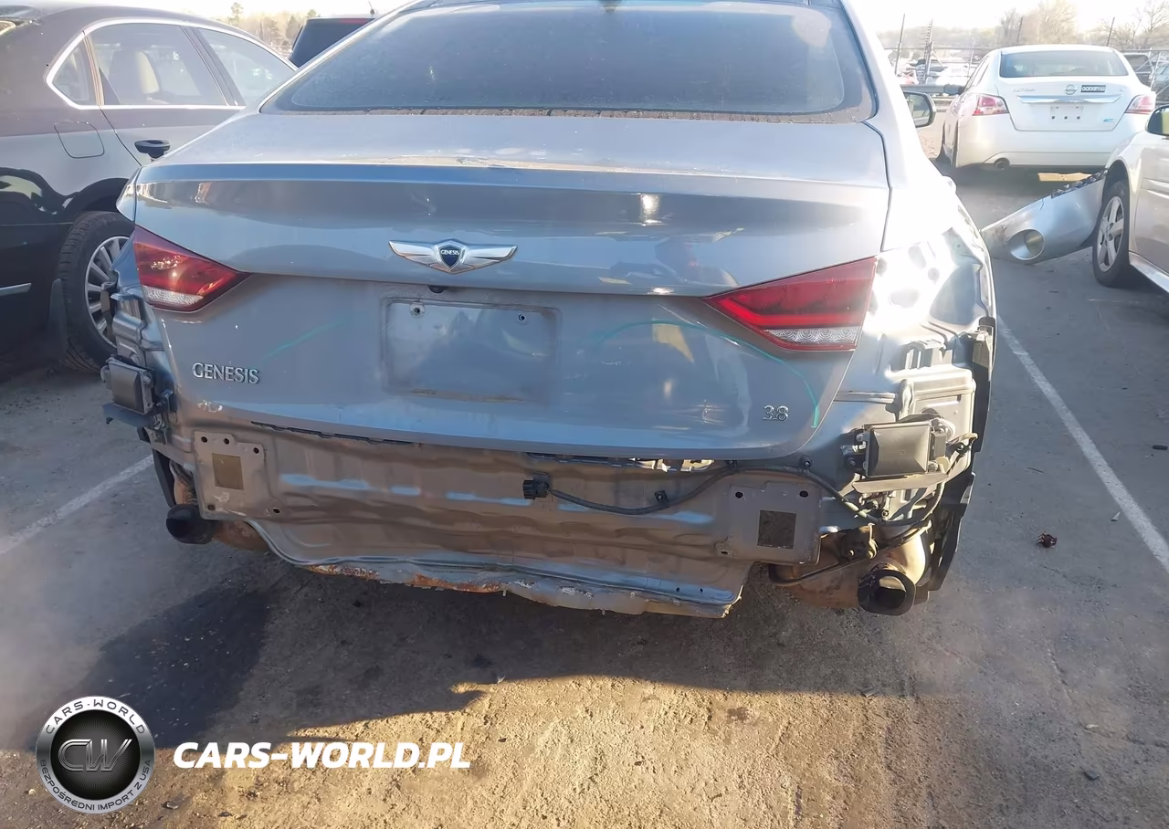 2016 Hyundai Genesis 3.8 VIN:KMHGN4JE2GU106465 - 6