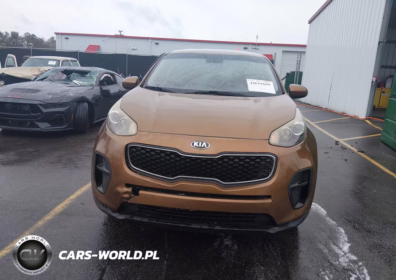 2017 Kia Sportage Lx VIN:KNDPM3AC4H7044678 - 12