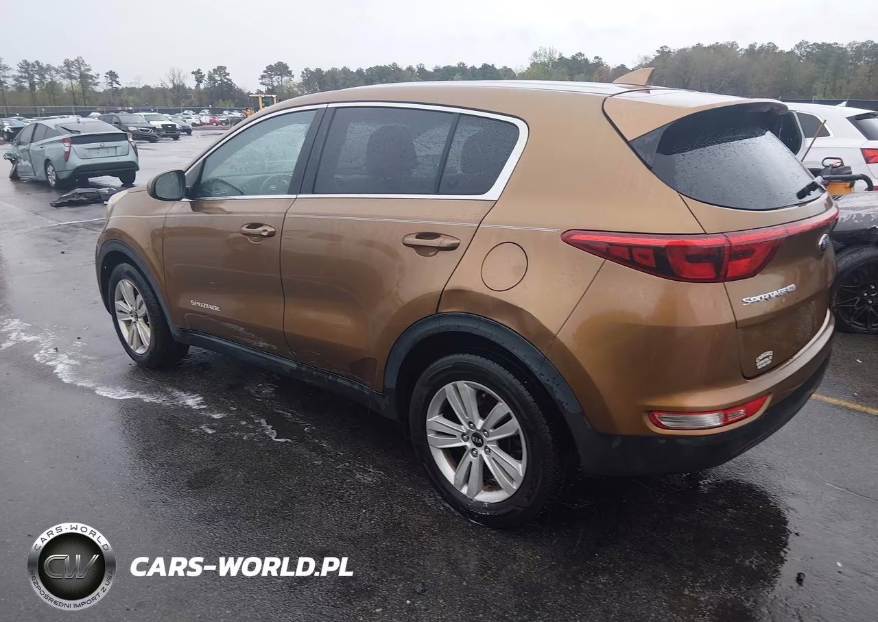 2017 Kia Sportage Lx VIN:KNDPM3AC4H7044678 - 3
